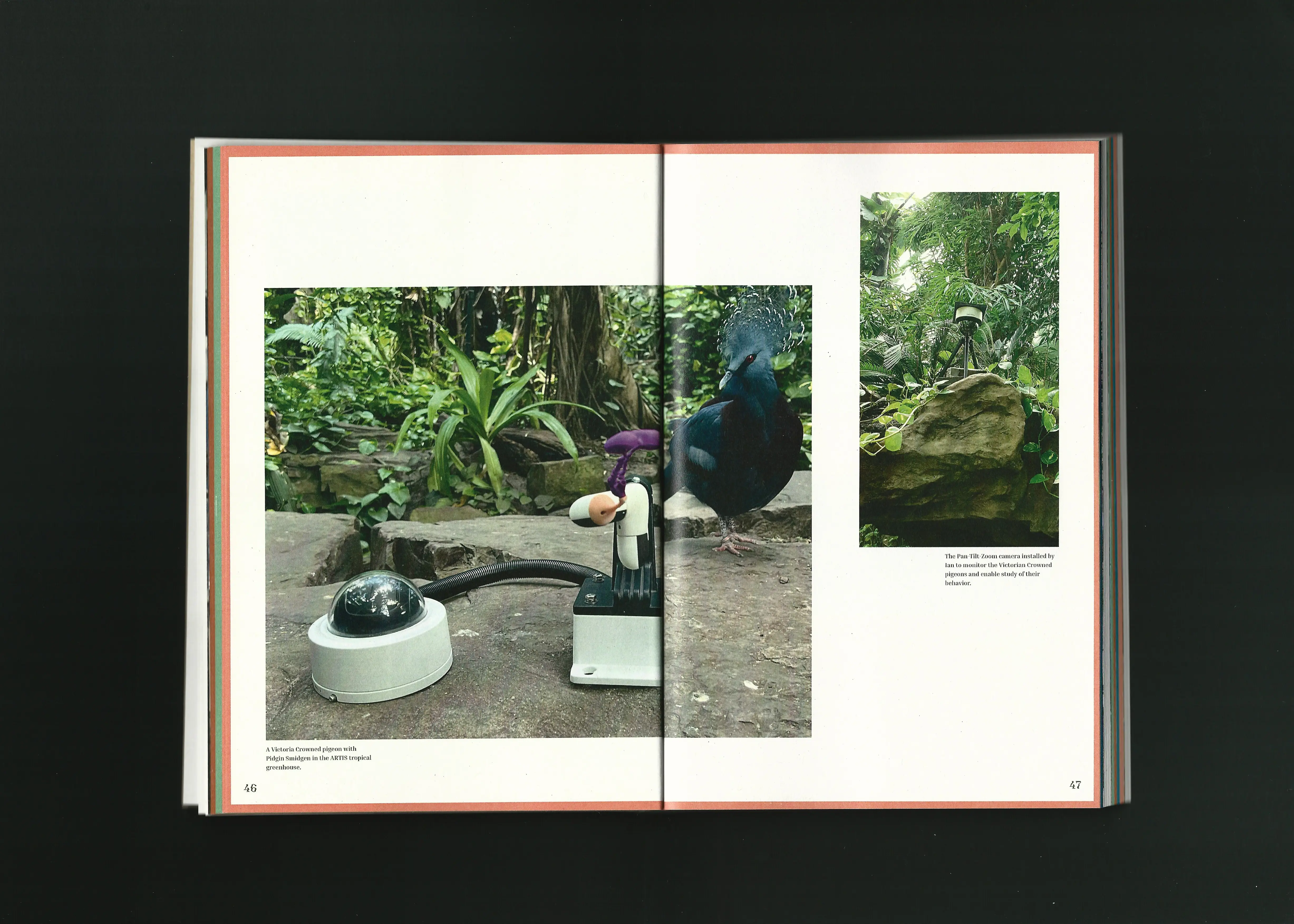 Machine Wilderness Publication